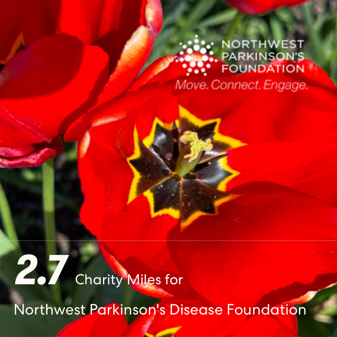 In #Seattle, 2.7 ⁦@CharityMiles⁩ for ⁦@NWParkinsons⁩ . I’d be grateful for your support. If you’re in a position to do so, please click here to sponsor me for #WalkForParkinsons:

nwpf.donordrive.com/participant/Gr…