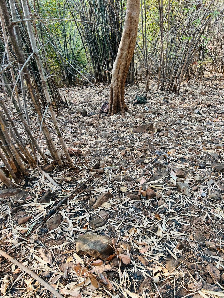 क्या नक्सली शहीद है? ये कैसी मानसिकता है,किसी राजनीतिक लाभ के लिए ये बोलना बिलकुल भी उचित नहीं। हज़ारों किलोमीटर की पदयात्रा और नक्सली इलाक़े में ऑपरेशन में आसमान ज़मीन का अंतर है। क़दम क़दम पर IED का ख़तरा, नक्सली निशानेबाज़ और चुनौतियों का अंबार है उसके बाद भी हमारे देश के वीर…