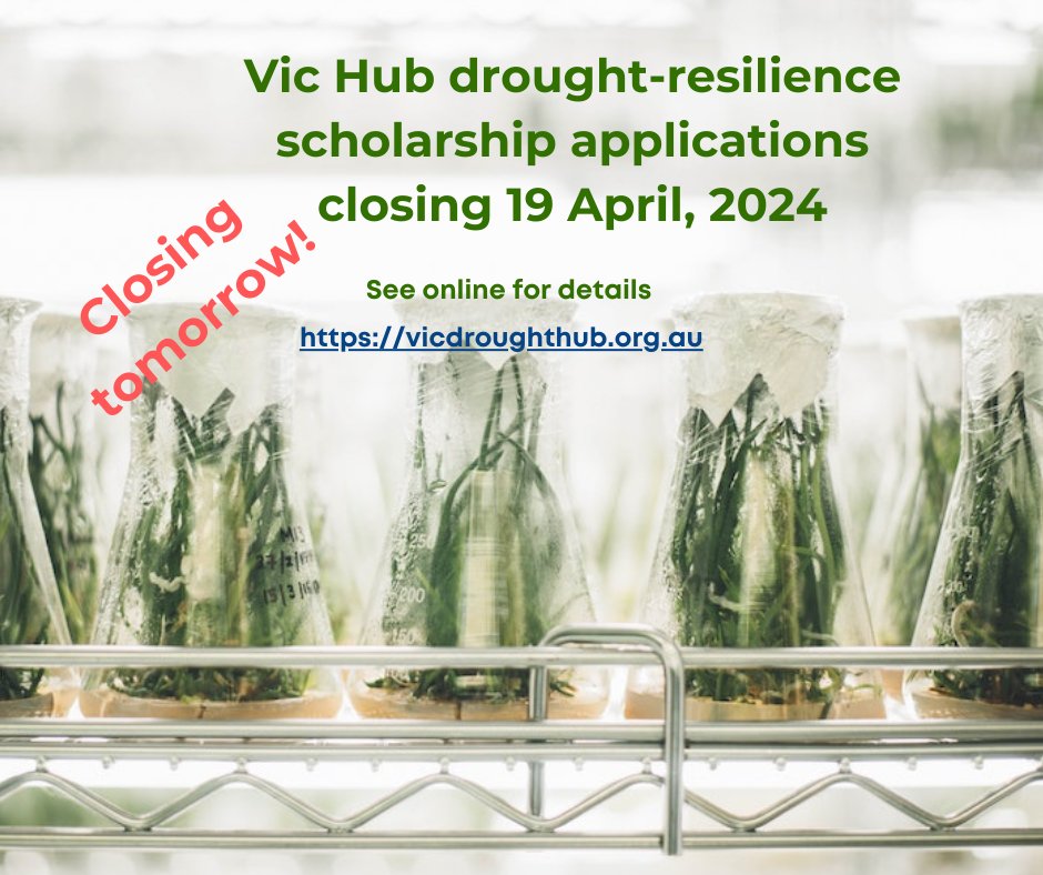 🌟 Last chance! Passionate about #droughtresilience ? Honours & post-grad researchers, apply now for 1 of 5 $2k #scholarships from Victoria's Drought Resilience Adoption & Innovation Hub. Deadline: April 19, 2024. Don't miss out! Details: vicdroughthub.org.au/news-events/ne… #VicHub #AusAg