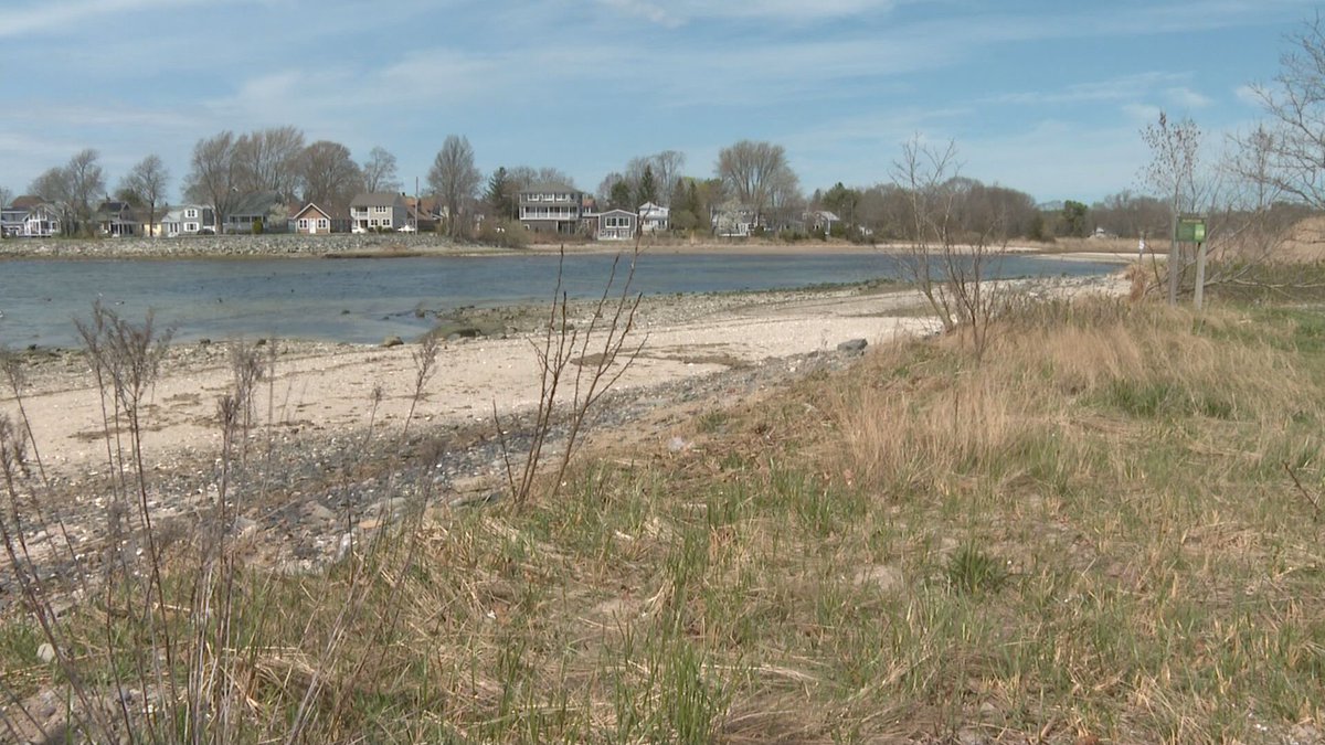 Now on @NBC10 Sunrise: Barrington police are investigating after dogs were found dead along town beaches in the last few months 

turnto10.com/news/local/bar…