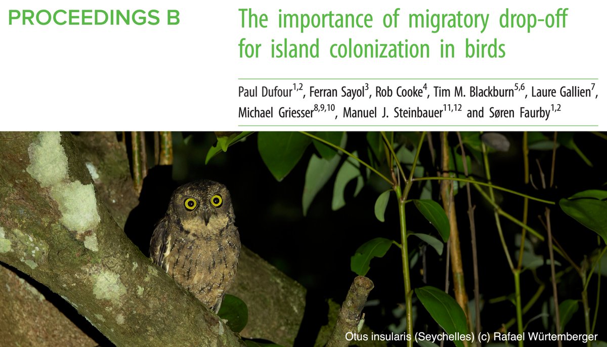 🚨🏝️🐦 Check out our new #openaccess paper in @RSocPublishing, in which we investigate the importance of migratory drop-off for island colonization in birds: doi.org/10.1098/rspb.2…