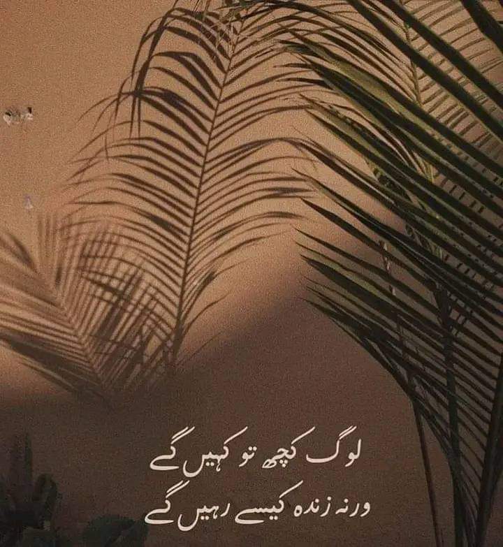 Zahra Ahmad tweet media