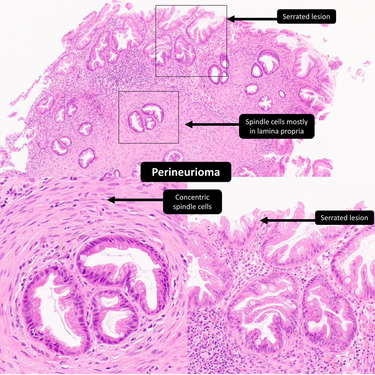 DrCycloPath tweet picture