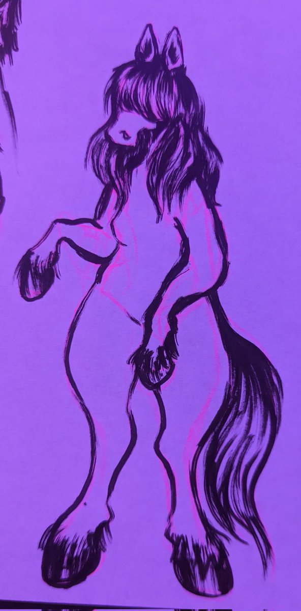 horse girls are the new dog girls