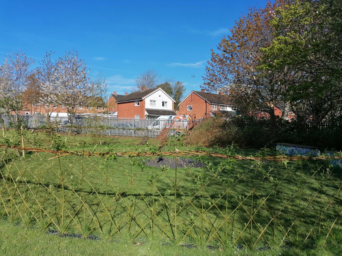StAnthonysSch's tweet photo. Jack's place on a beautiful morning here at St Anthony's. The willow is blooming. This is such a tranquil space for us to spend time in and reflect. 
Great work from @creativestates
@BhamDES @RCBirmingham https://t.co/t83WL0n6xW