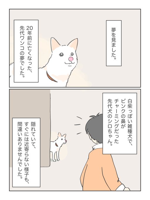 ワンコが亡くなってから、あの子が天国で寂しがってるんじゃないかな?と心配していましたが…。

シロちゃんが教えに来てくれました。 
