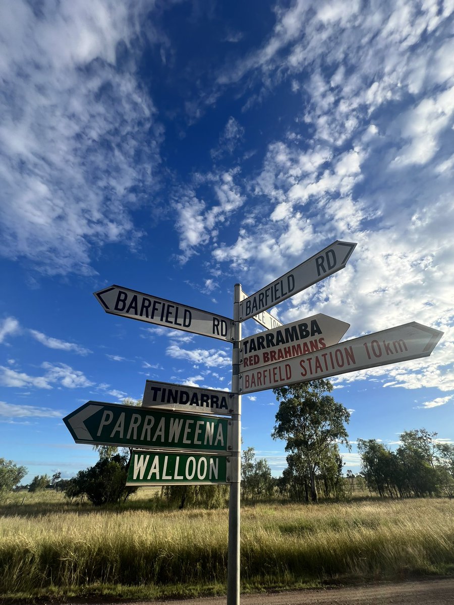 javieriru's tweet image. 