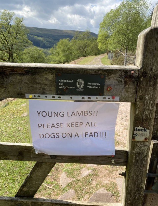 NoContextBrits's tweet image. To the tune of YMCA…