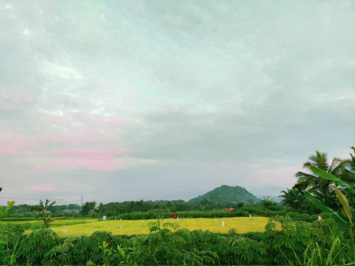 Dennylenggana's tweet image. Warna-warna langit di Sukabumi April 2024

#shotbyphone #skycolour #pelangi #rainbow #twilight #fajar #sunset