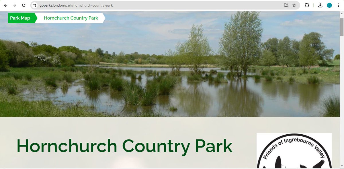 Today we're featuring Hornchurch Country Park in #Havering: goparks.london/park/hornchurc… This is a large, beautiful site with lots of different features to explore, including #wetlands, #woodlands and #meadow. Check it out!