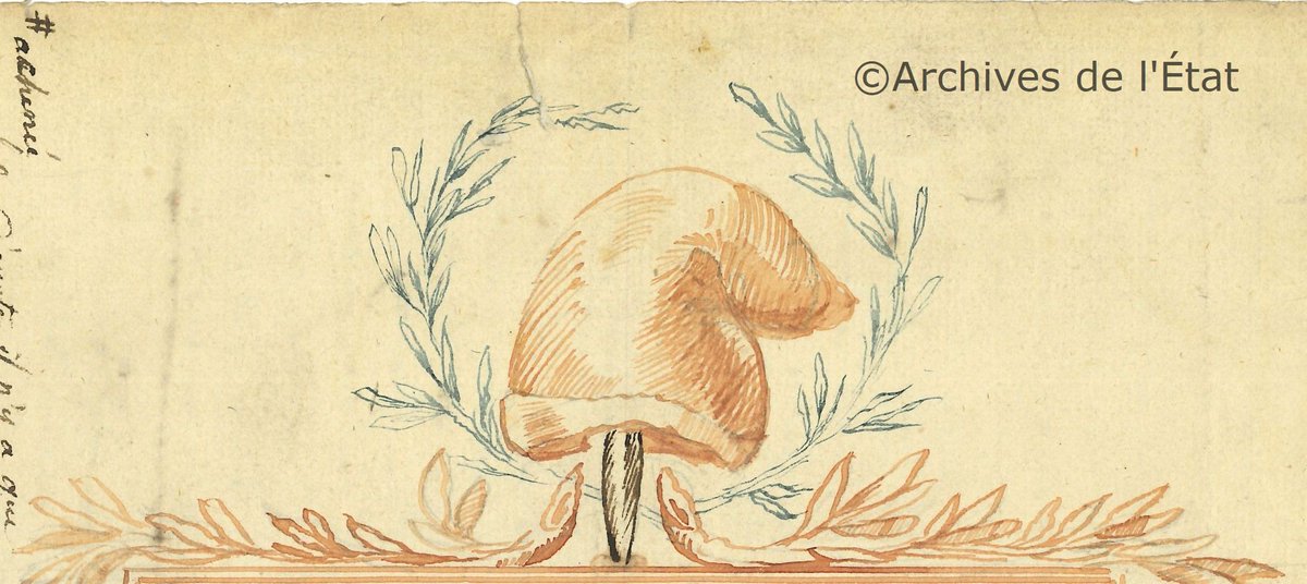 asbl Celida, c/o Archives de l'État à Liège tweet media