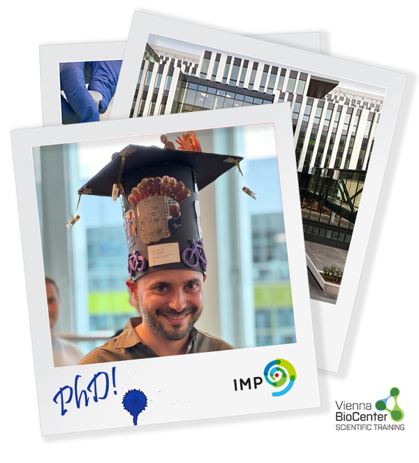 Congratulations to @FilipNemcko PhD (@stark_lab, IMP), who recently defended his thesis: 'Systematic identification and functional characterization of transcriptional regulators' - Well done Filip! 🥂🍾 @univienna @IMPvienna @IMBA_Vienna @gmivienna @MaxPerutzLabs