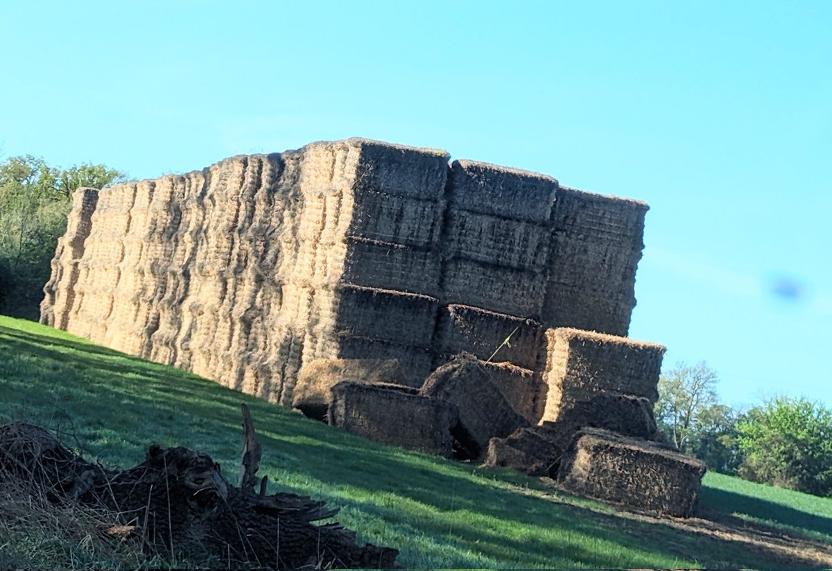 RecyclerBill's tweet photo. After this year's wet winter I've noticed a number of #straw stacks collapsing on field headlands.
Please check stacks for falling bales &amp; carefully make safe.
Maybe even courden the area off, particularly if near to a public #footpath.
@yellowwelliesuk @NFUtweets 
#GoHomeSafe https://t.co/BrFzkNOHU6