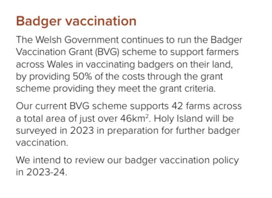 @pengraiggoch @bovinetb The only detail I’ve found is that 46km2 were vaccinated. (Just Pembrokeshire is 1,500km2). Drop in the Ocean is perhaps generous.