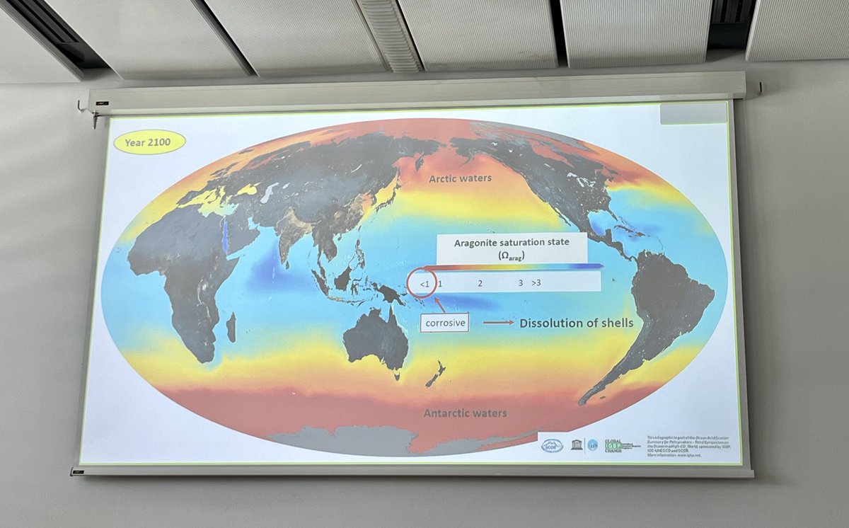 Took a step away from smaller scale results to remind myself of the ultimate motivation behind undertaking my PhD project. Great talk from Elisabeth Kubin (@OGS_IT) about the importance of a consistent and accessible global pH dataset to monitor ocean acidification. #EGU24