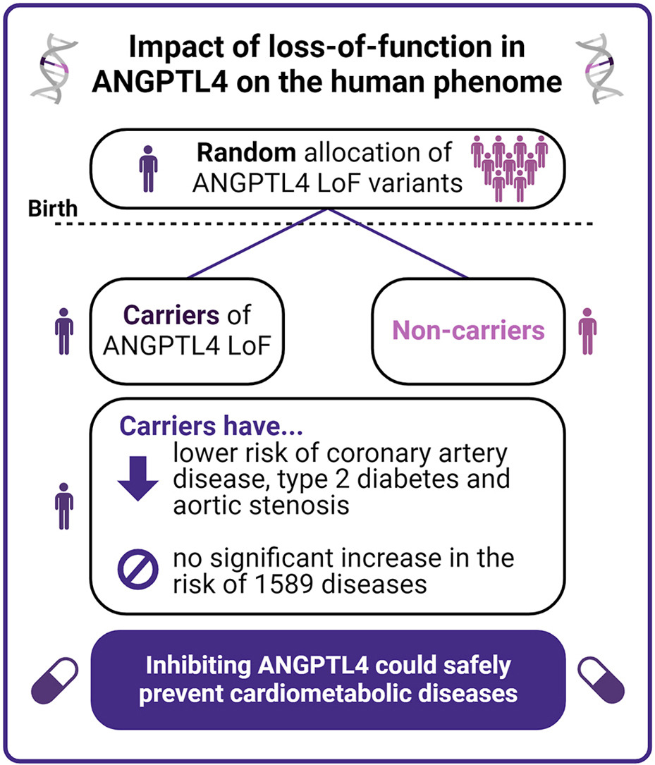 Impact of loss-of-function in angiopoietin-like 4 on the human phenome doi.org/10.1016/j.athe…