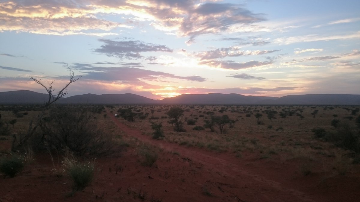 David Diez Méndez tweet media