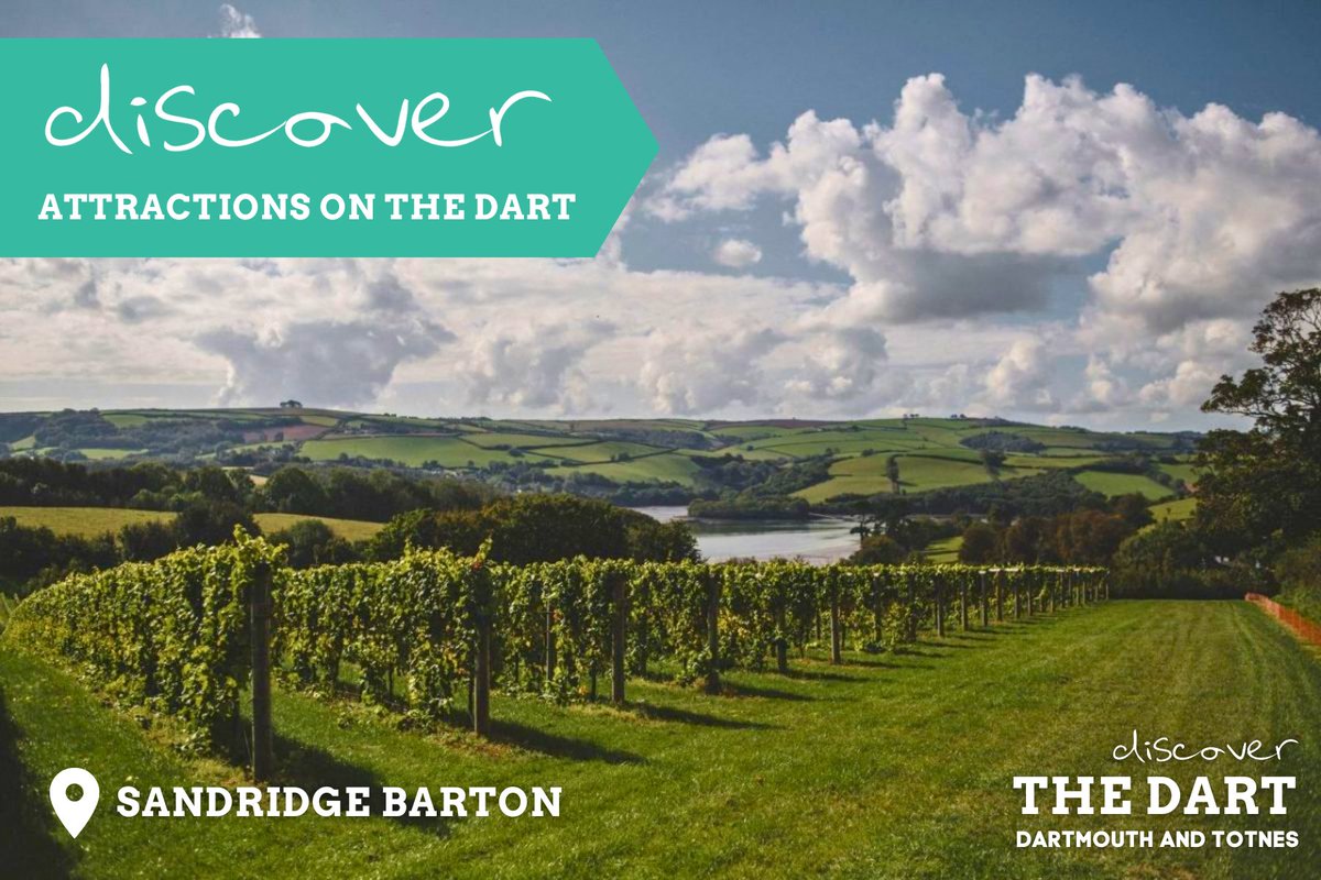 🍇 Explore the vineyards of Sandridge Barton and savour award-winning #EnglishWines with breathtaking River Dart views! 🍷 Head to our website to find out more 👇 discoverdartmouth.com/attraction/san… #DiscoverTheDart #DiscoverAttractionsOnTheDart @SharphamWines @VisitTotnes