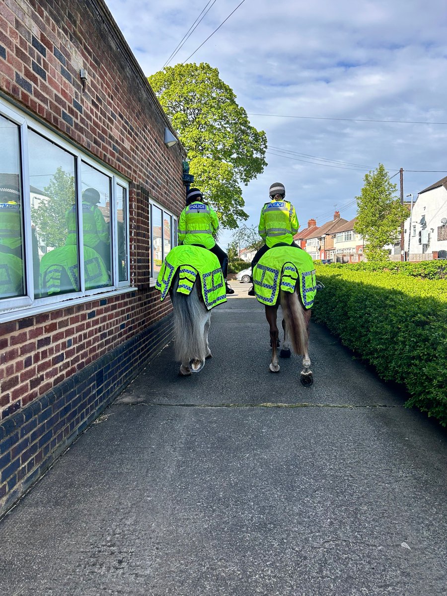 Brego and Carter have just headed out on patrol around Allerton and Calderstones Park.
If you see them please stop and say hello. 
#StandTall #PHBrego #PHCarter #MountedPatrols