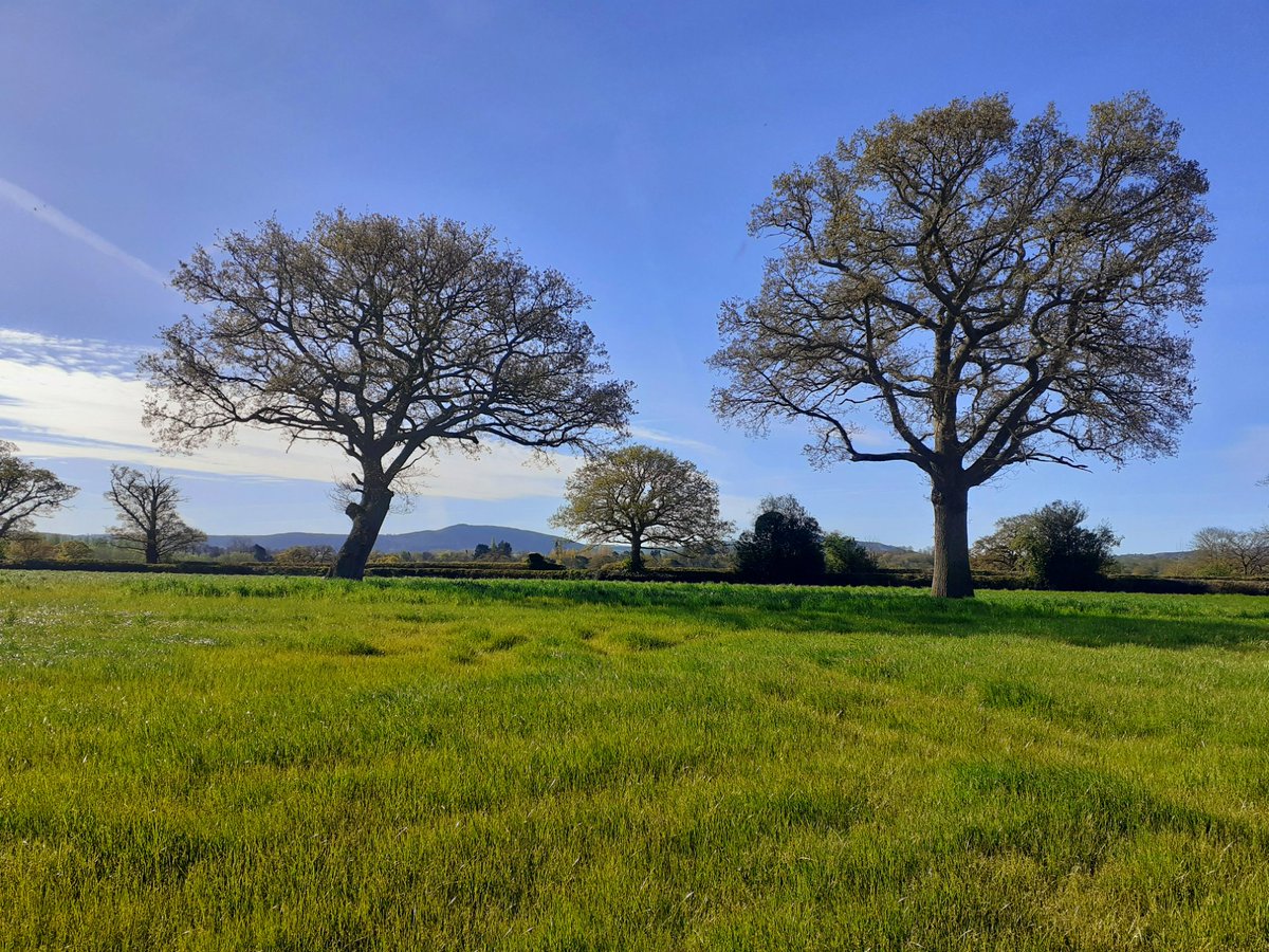 A stunning morning for a walk. #Shropshire #DailyWalk #StormHour #loveukweather #Wellbeing #nature #spring