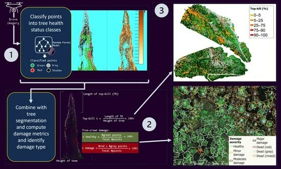 RemoteSens_MDPI's tweet photo. #latestpaper
🌲Evaluating a Novel Approach to Detect the Vertical Structure of #InsectDamage in Trees Using #Multispectral and Three-Dimensional Data from #Drone Imagery in the Northern Rocky Mountains, USA
by Abhinav Shrestha et al.

https://t.co/qCmBZO4hTk
#forest https://t.co/YjTScv8hma