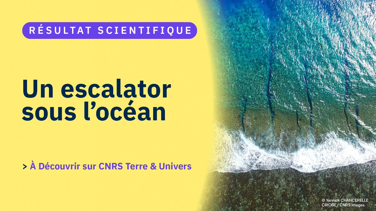 #RésultatScientifique 
Les collines abyssales se forment non pas comme des marches d’escalier, mais comme des marches d’escalator, qui s’ouvrent, puis se referment à mesure que les reliefs migrent sur le tapis roulant des plaques tectoniques. 
⤵️ 
insu.cnrs.fr/fr/cnrsinfo/un…