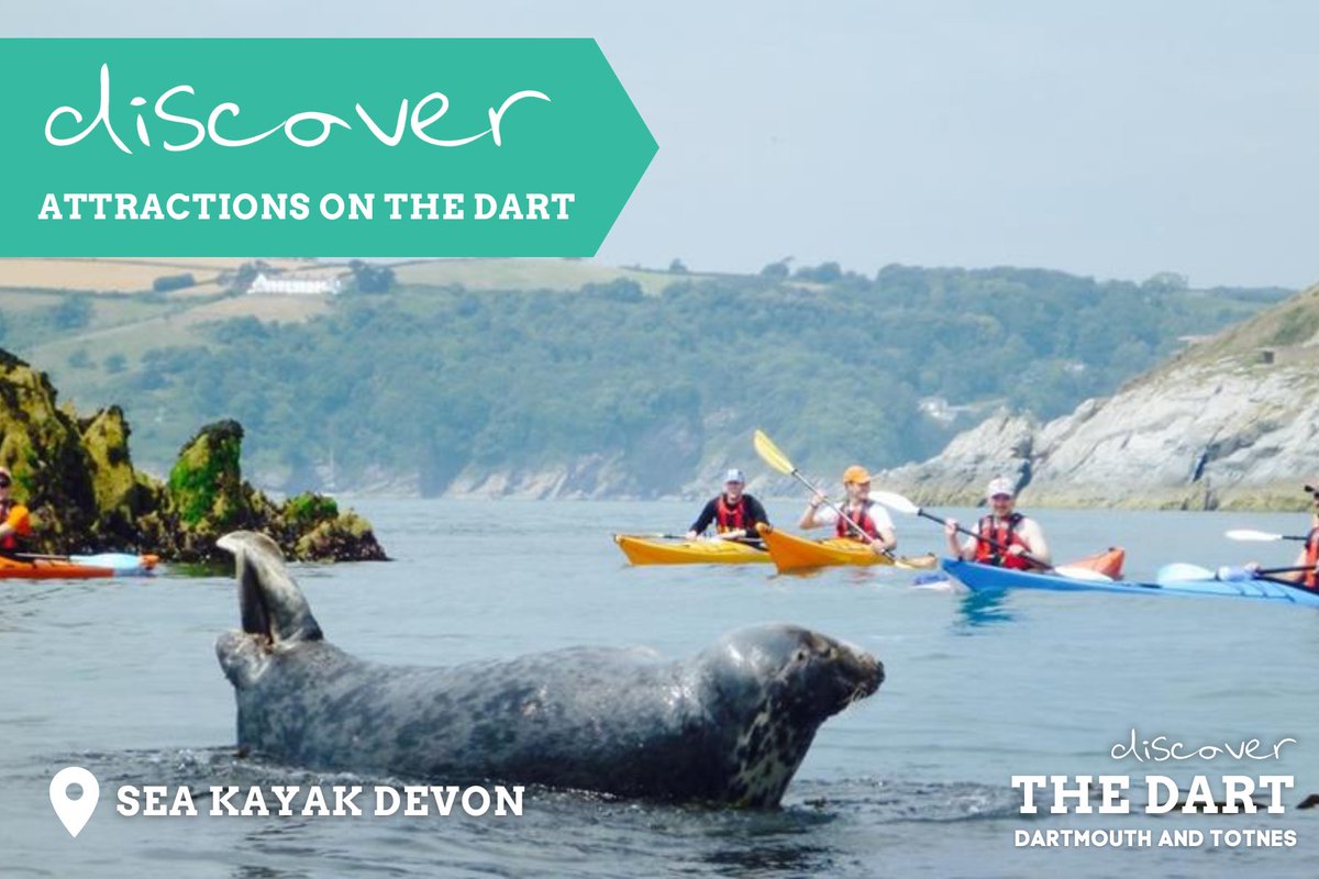 🛶 Embark on an unforgettable sea kayaking adventure with @SeaKayakDevon! Explore hidden coves, spot wildlife and paddle your way along the stunning Dart Estuary. 🌊 Find out more here 👇 discoverdartmouth.com/attraction/sea… #DiscoverTheDart #DiscoverAttractionsOnTheDart @VisitTotnes