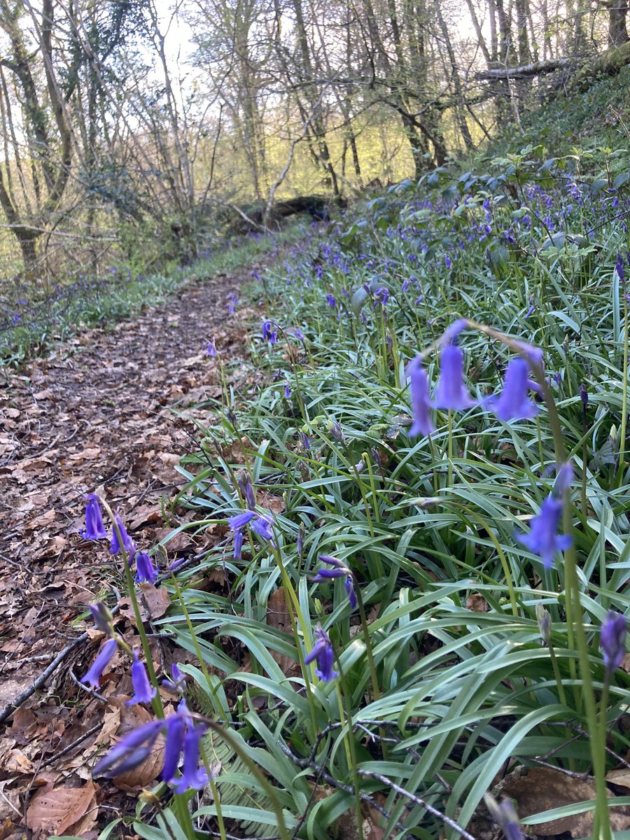 Is there a better walk to work than this? 💙💜