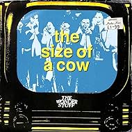 Size of a meow

#ASongOrMovieForPetVarieties