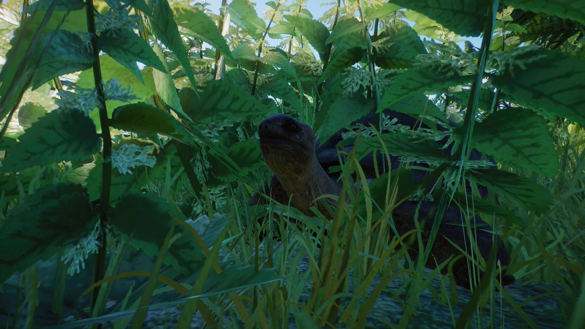 Paleo_Pizza's tweet photo. Made a small little enclosure with a house attached to it for some Aldabra Tortoises 🐢🐢🐢
https://t.co/67lbLBzrMj
🦒 - @PlanetZooGame
#planetzoo #planetzoodesign #planetzooinspiration #planetzoogame #planetzoobuild #zoo https://t.co/MCnZBObVK9