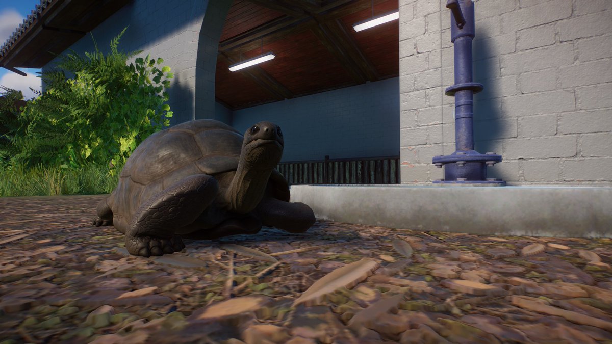 Paleo_Pizza's tweet photo. Made a small little enclosure with a house attached to it for some Aldabra Tortoises 🐢🐢🐢
https://t.co/67lbLBzrMj
🦒 - @PlanetZooGame
#planetzoo #planetzoodesign #planetzooinspiration #planetzoogame #planetzoobuild #zoo https://t.co/MCnZBObVK9