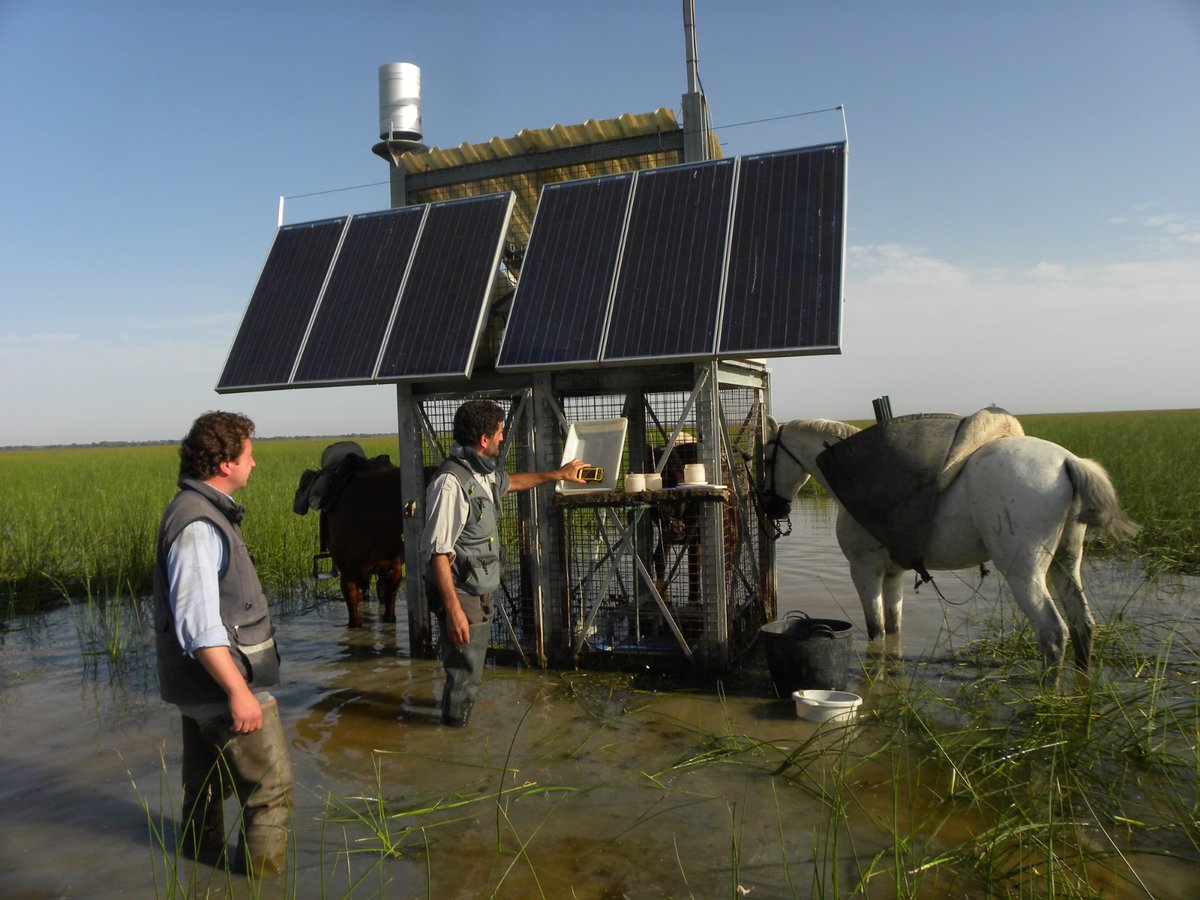 ⁉️ ¿Sabías que la #ICTSDoñana cuenta con cinco estaciones automáticas HidroMet?

⏱️Cada diez minutos arrojan datos relativos a:

✅Temperatura del aire y del agua
✅Humedad relativa y precipitación
✅Dirección y velocidad del viento

Sigue 👇

#ICTSNews

📷 Carlos Ruiz