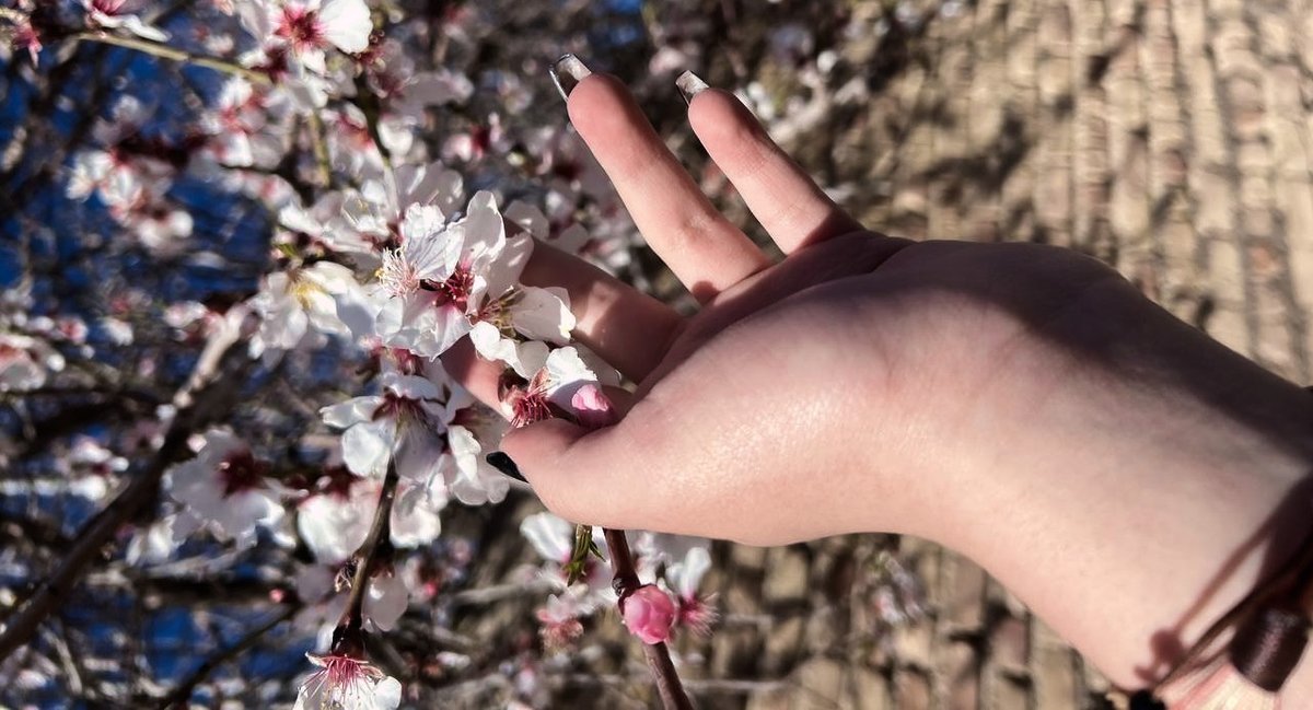 Rina⁷ | پروانه فندوم🦋ˢˡᵒʷ tweet media