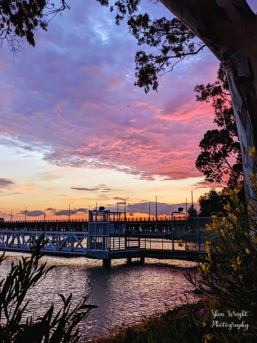 Sheatography's tweet photo. Shot June 10th 2023 in the Waterfront Marina of Vallejo, California.
#marinaphotography #photoartist #sunsetphotographs #sunsetphotos #sunsetphoto #PhotographyIsArt #photographyismypassion #artistonX #VallejoCA #photograghy #sunset #SunsetViews #sunsetphotography https://t.co/DN9NKUGWRh