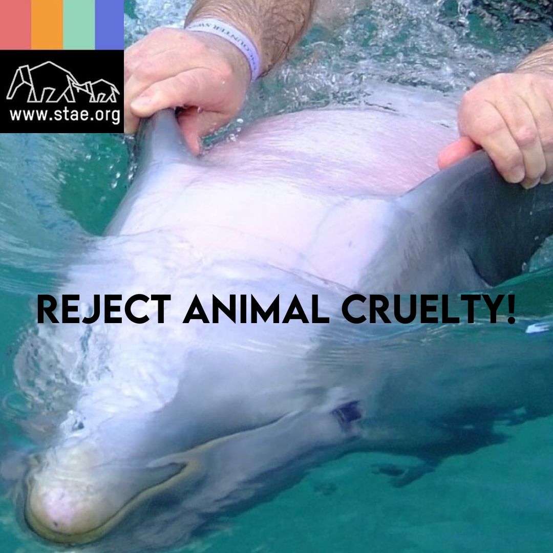 Reject all animal cruelty! Choose ethical venues only. Check STAE’s guide how to support our work in animal conservation - stae.org/help-us