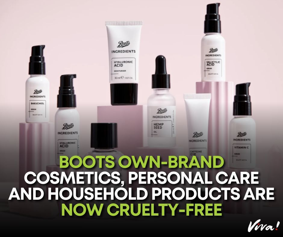 Well done to @BootsUK for making their own-brand products cruelty-free! 🐰🙌 #Boots have over 500 beauty, skincare, personal care and grooming products to choose from. This is now the biggest range of #crueltyfree beauty products on the high street!