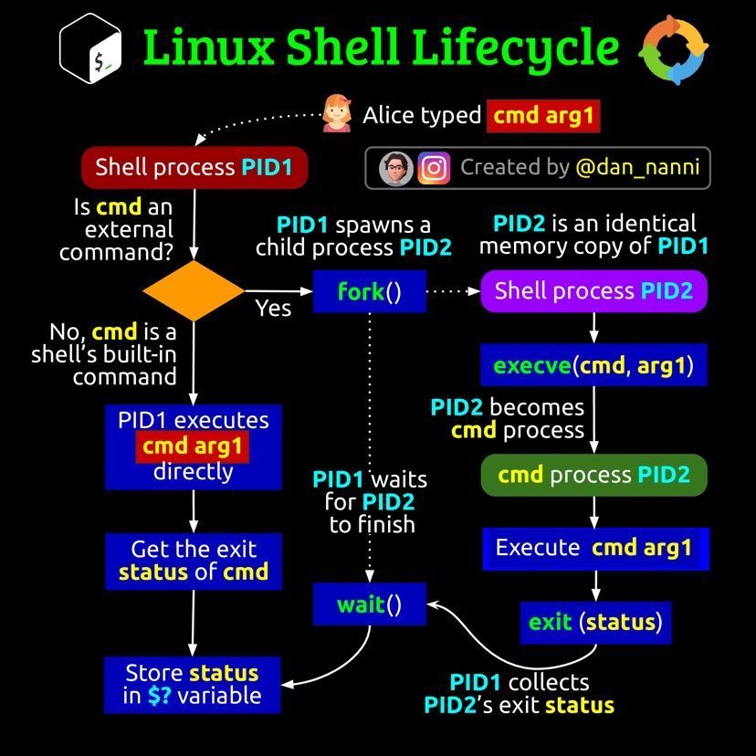 LetsDefendIO's tweet image. Linux Shell Lifecycle