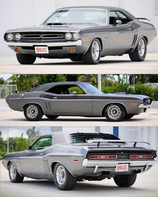 Like Love or Leave?  Dodge Challenger