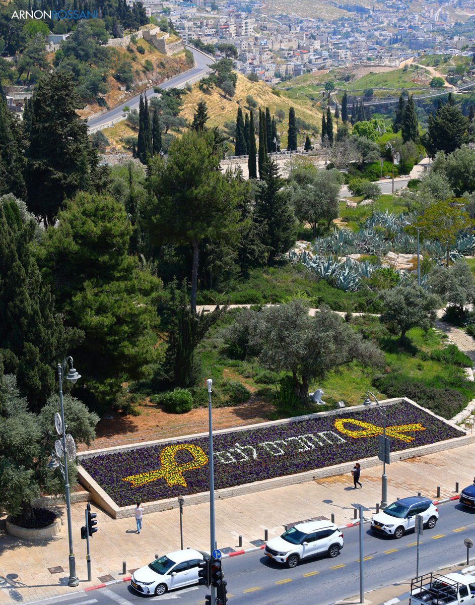 Jerusalem: 5,000 flowers planted with a message to our hostages. “We are waiting for you” 💔🎗️ #LetThemGoNow 📸 @ArnonBossani, @Jlm_city