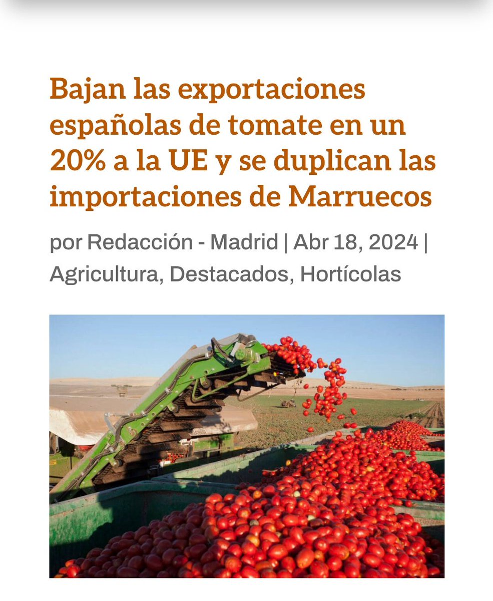 Bajan las exportaciones españolas de tomate en un 20% a la UE y se duplican las importaciones de Marruecos. 
Además de pvtas ponemos la cama. 
#ProductoNacional
#LoNuestroPrimero
