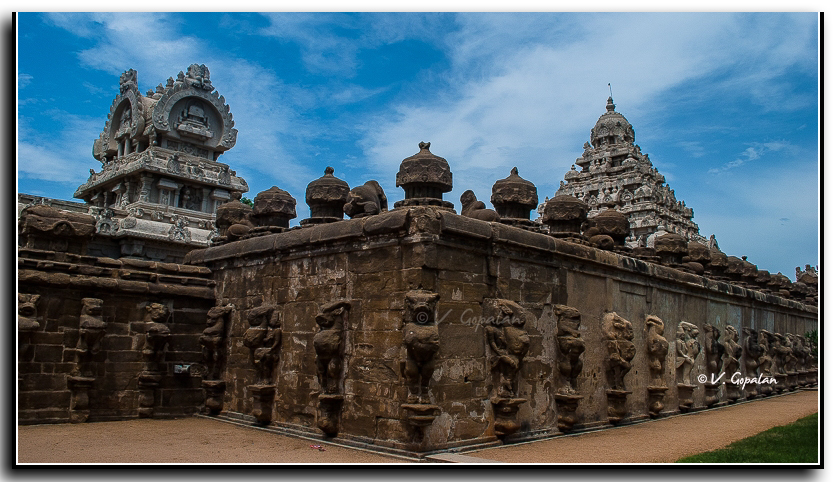 Kailasanatha temple dedicated to Shiva is one of the oldest surviving temples in Kanchipuram, TN 

It was built by Pallava dynasty around 700 CE!

#HeritageDay 
#WorldHeritageDay
#UNESCOWorldHeritageDay