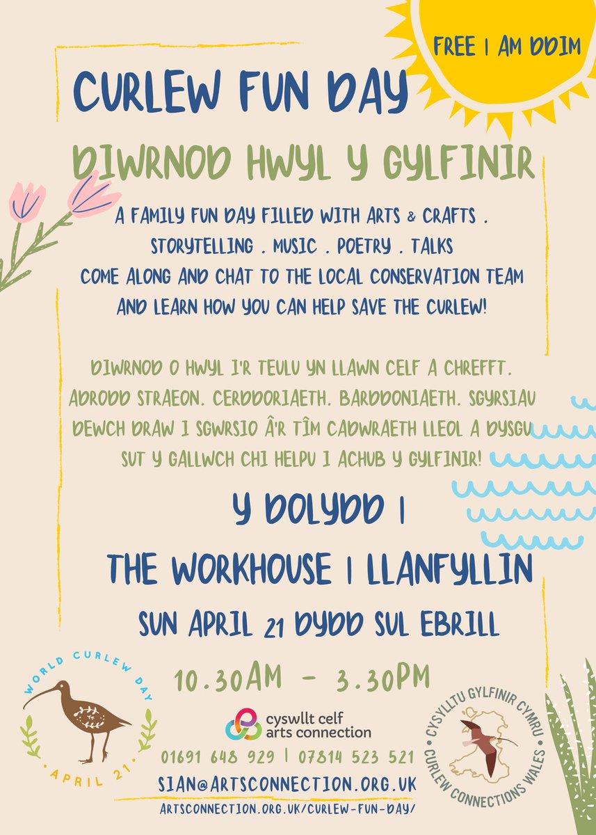 It’s World Curlew Day on Saturday. There’s a Curlew Fun Day in Llanfyllin - and its free! Diwrnod Hwyl y Gylfinir yn Llanfyllin ddydd Sadwrn - ac mae am ddim!