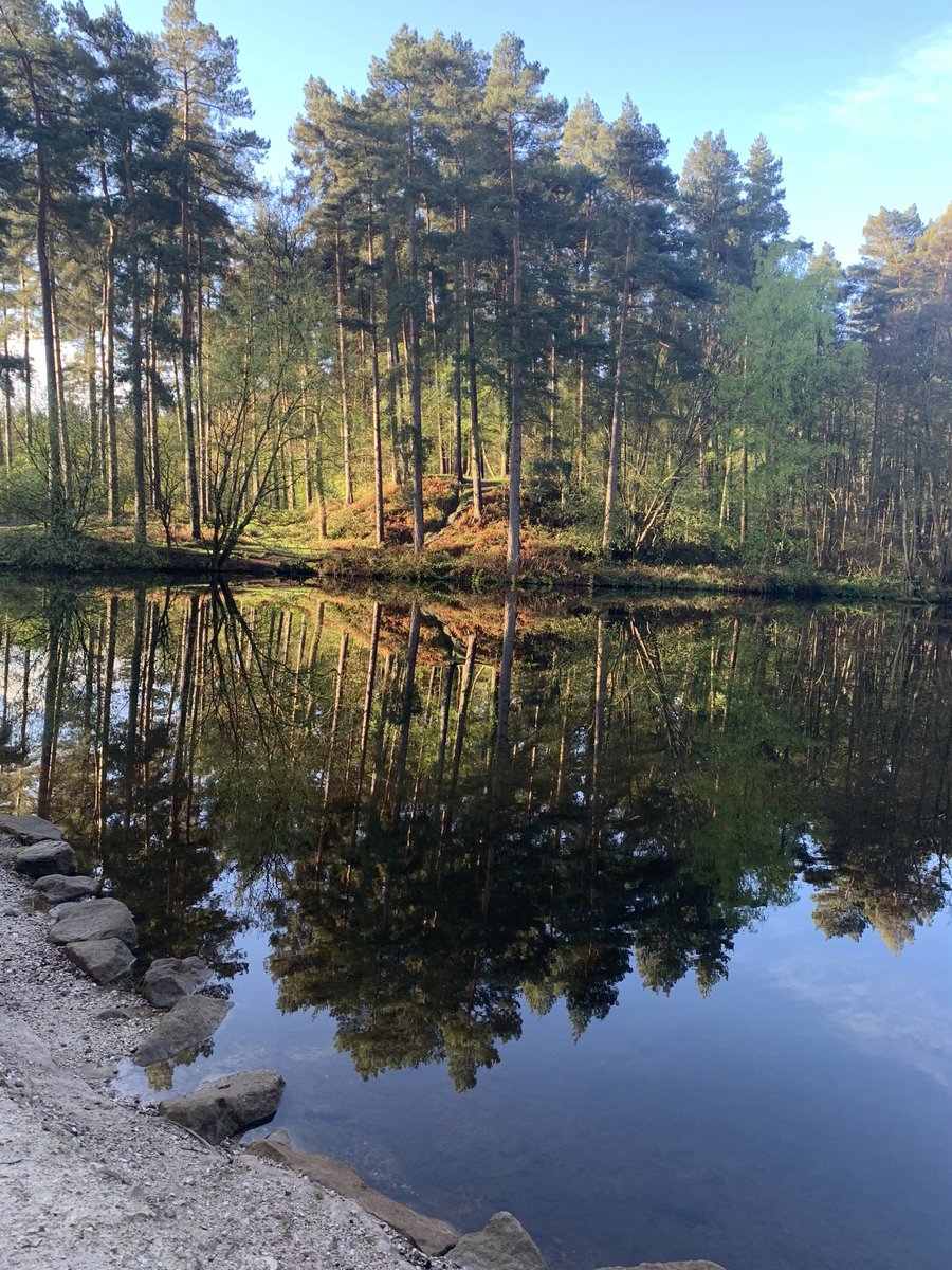 This was yesterday morning’s bike ride on Cannock Chase….anyone else think natural Staffordshire can be quite amazing?