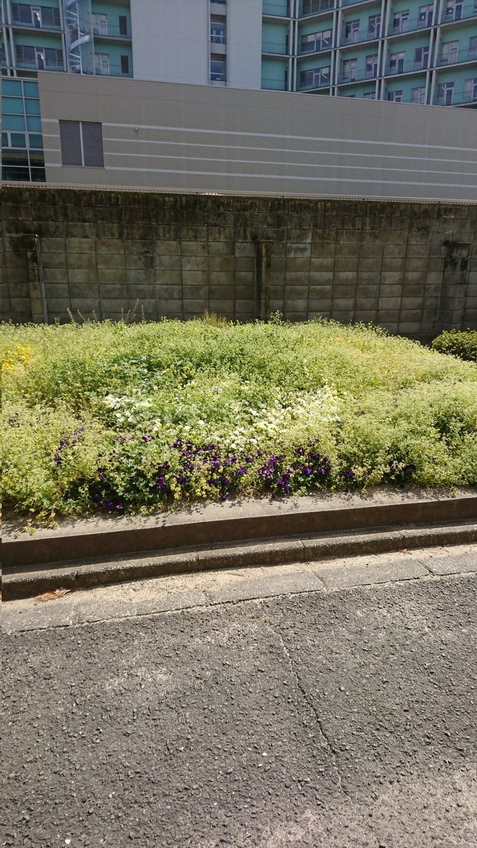 7年前にヤバそうやなと思ってましたが、いよいよ本格的に中央構造線の地震がヤバそうですね。
幸か不幸か、長野北高校の確実に潰れるけど一生補修されないブロック塀は長野北高校が廃校になることでなんとかなりましたね(白目)。
jishin.go.jp/regional_seism…