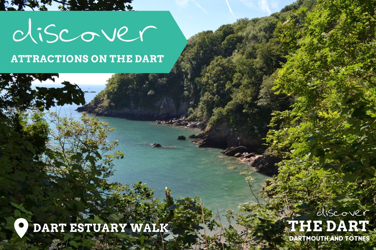 🚶‍♂️ Lace up your hiking boots and explore the scenic walks around the River Dart! 🌿 From riverside strolls to woodland hikes, there's a trail for every nature lover. discoverdartmouth.com/attraction/a-d… #DiscoverTheDart #DiscoverAttractionsOnTheDart @visittotnes