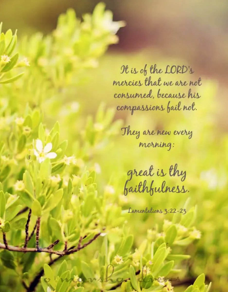 sharonePack's tweet photo. I am thankful that
God's Mercies are
new every morning!
fresh, timely, and relevant
for #TODAY
#CustomMercies #FaithfulGod https://t.co/dKDqWD3Ii6