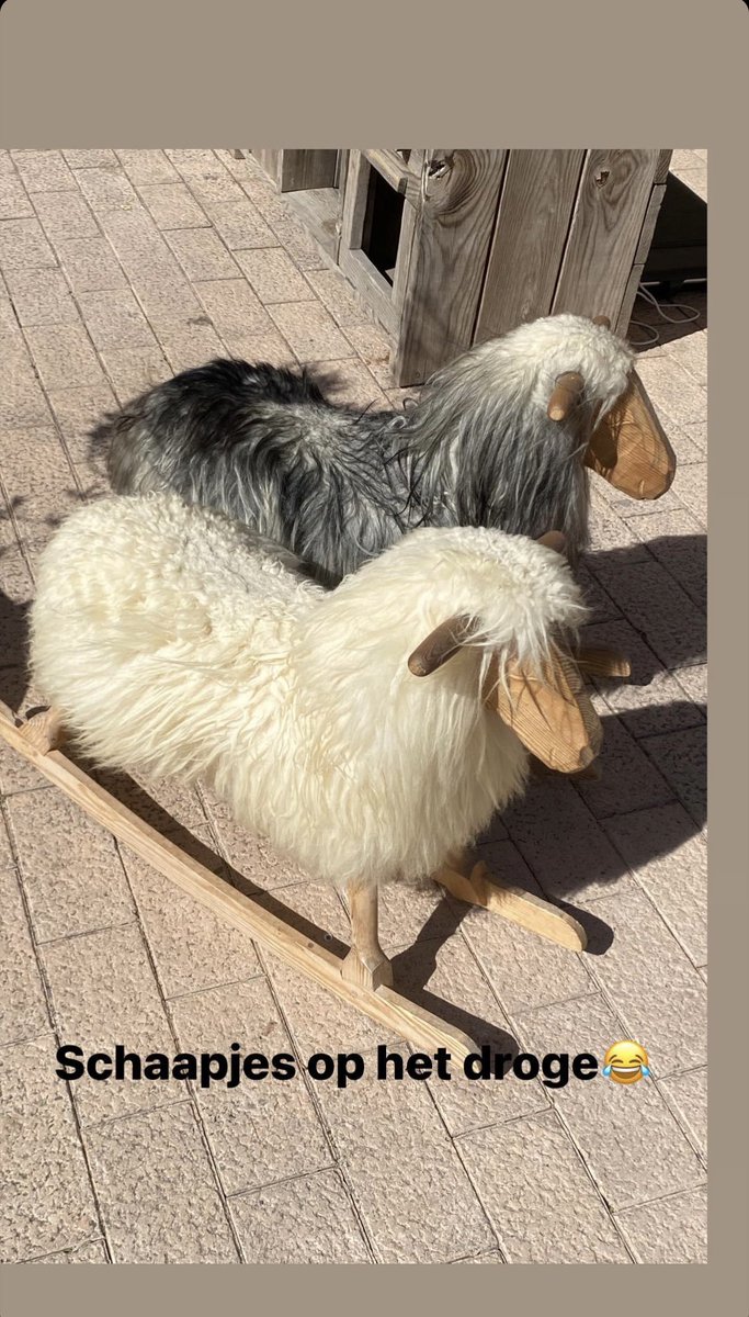 Tuinvrouwe's tweet photo. @JohanGewoon Ook leuk hobbelschaap op Ibiza😃 https://t.co/jtpqmgxhTZ