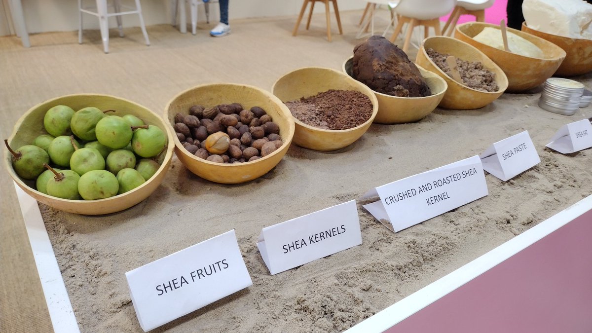 At the in-cosmetics global trade show taking place in Paris, one can find wild ingredients from Africa like shea and baobab from the Ghana. savannahfruits.com #WildlifeEconomy
