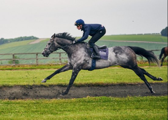 Looking forward to seeing Popmaster return to the track this afternoon under @loughnane_billy @NewmarketRace 🤞🏻🤩 @LaurenceBellman @RealKenBruce