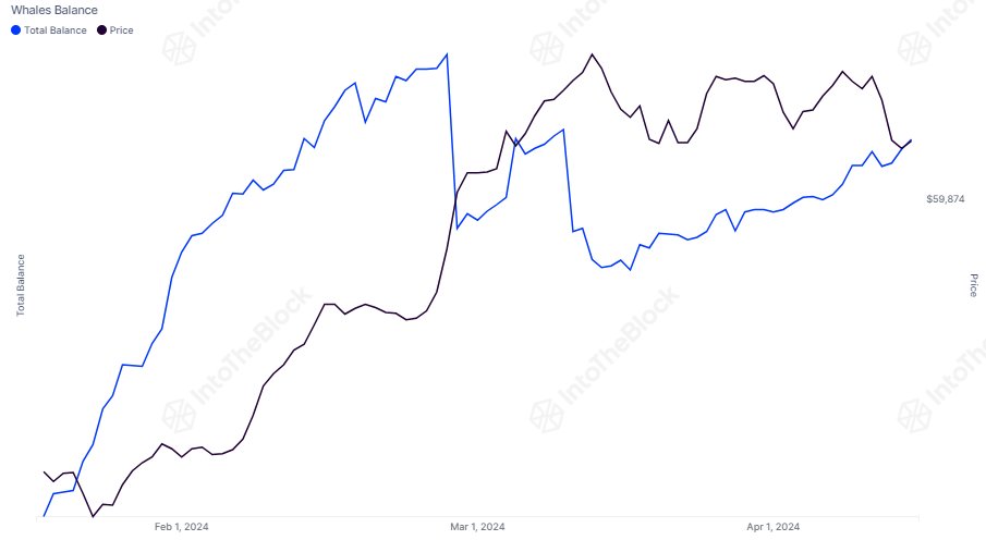 Bitcoin Whale Balance